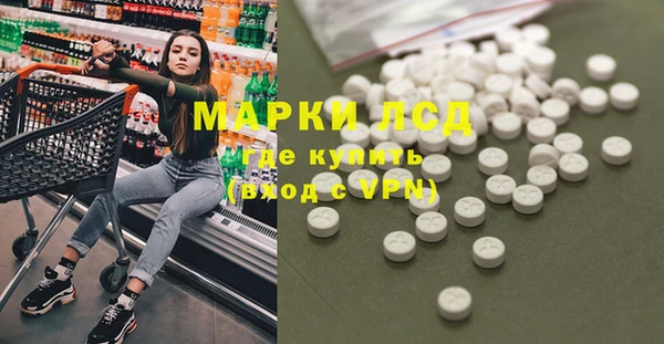стаф Аркадак