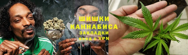 стаф Аркадак