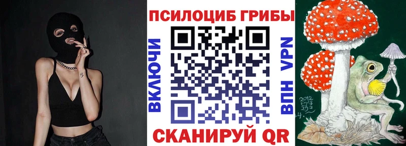 даркнет состав  Слюдянка  Псилоцибиновые грибы мицелий 